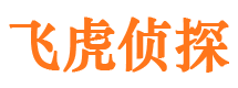 仙游市婚外情调查